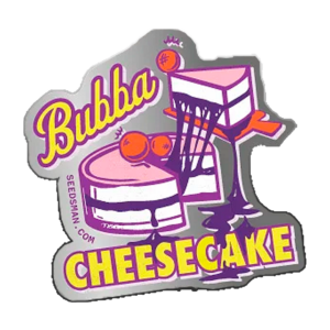 Bubba Cheesecake – Fotoperiodo Feminizada – Pack Com 5 UNIDADES – SeedsMan
