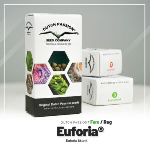 Euforia® Dutch-Passion-Seed-Company Pack com 3