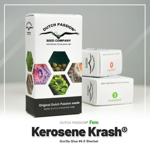 Kerosene-Krash®-Dutch-Passion-Seed-Company – Pack com 3