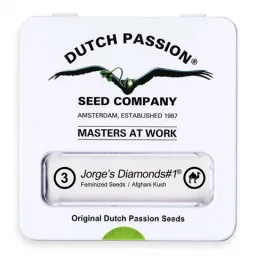 Jorge Diamond®-Dutch-Passion-Seed-Company –  Pack com 3