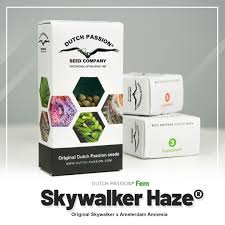 Skywalker Haze®-Dutch-Passion-seed-Company – Pack com 3