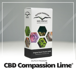 CBD Auto Compassion Lime®