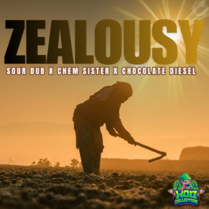 Zealousy - Fotoperíodo Feminizada