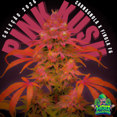 PINK KUSH
