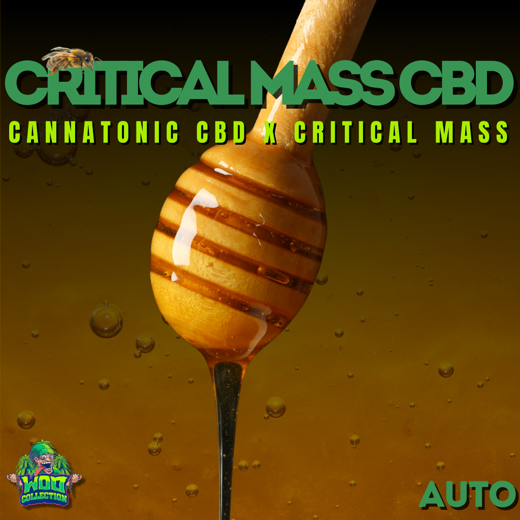 Critical Mass CBD Auto