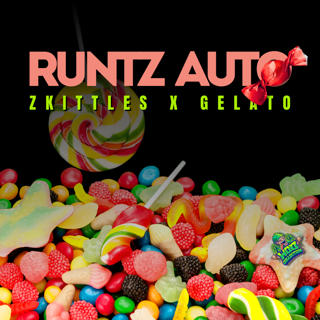 Runtz Auto