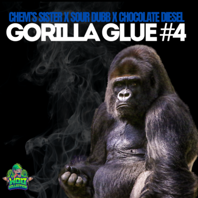 Gorilla Glue #4