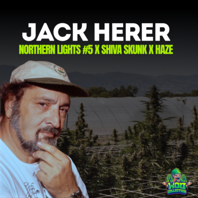 Jack Herer