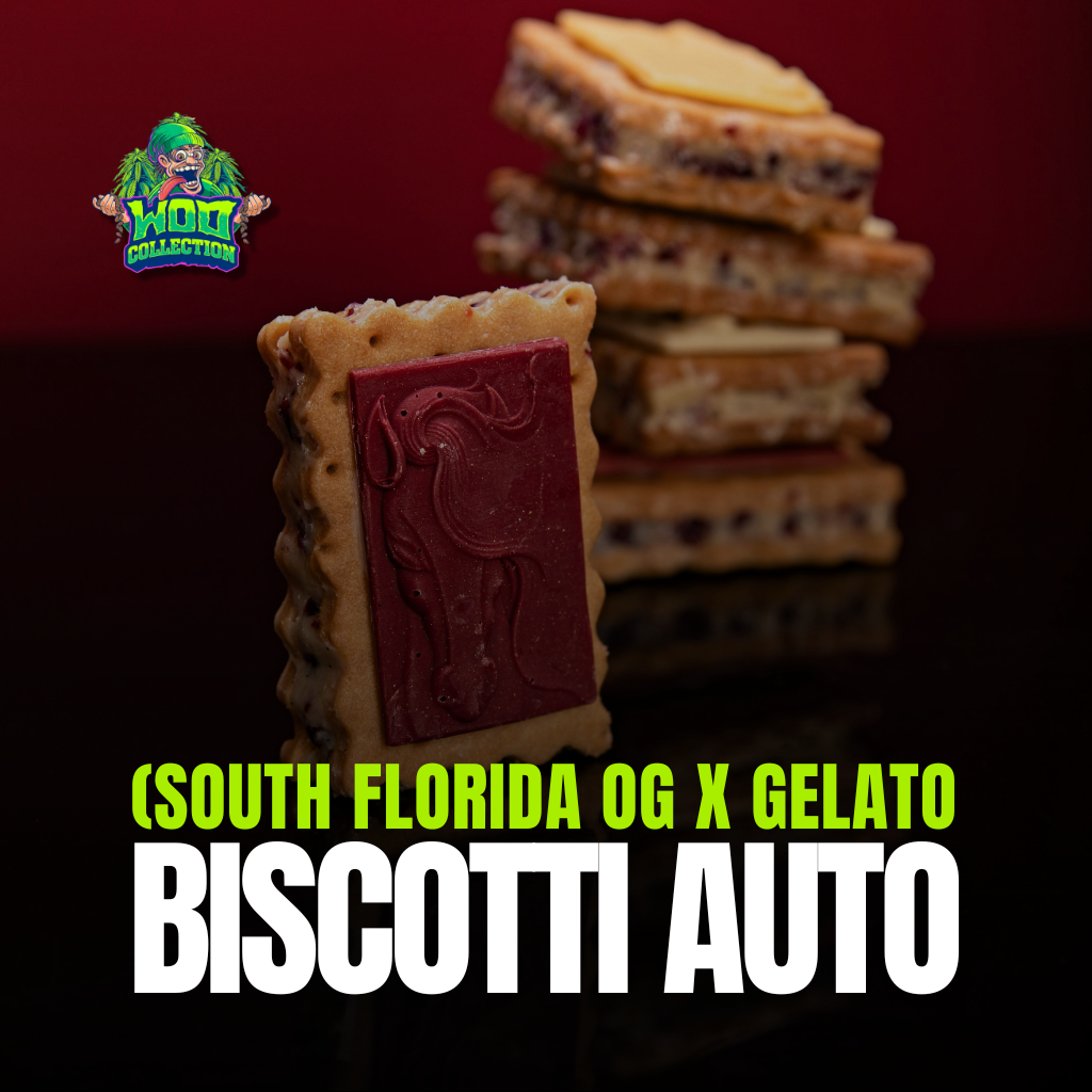 Biscotti Auto