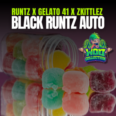 Black Runtz Auto
