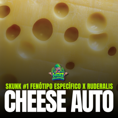 Cheese Auto