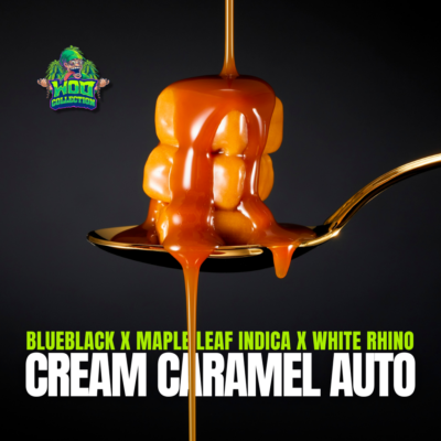 Cream Caramel Auto