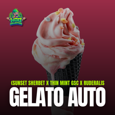Gelato Auto