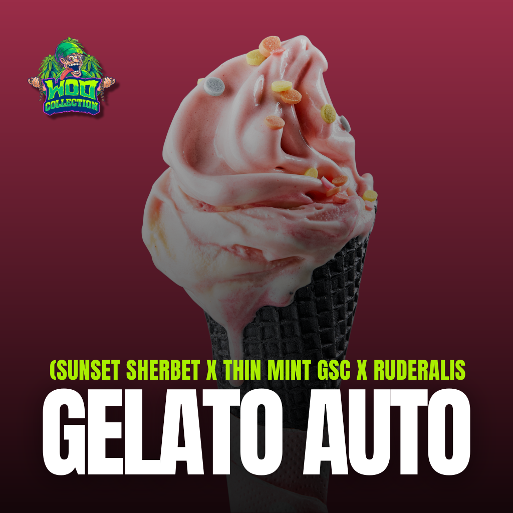 Gelato Auto