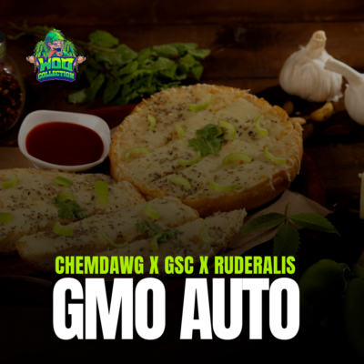 GMO Auto
