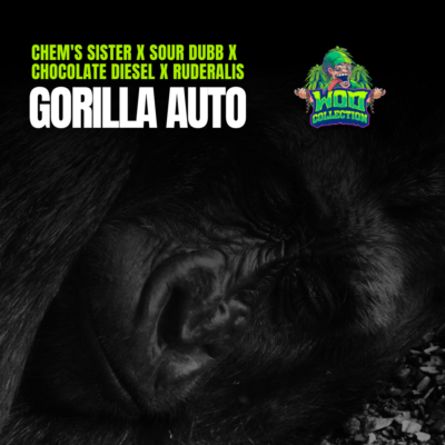 Gorilla Auto