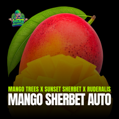 Mango Sherbet Auto