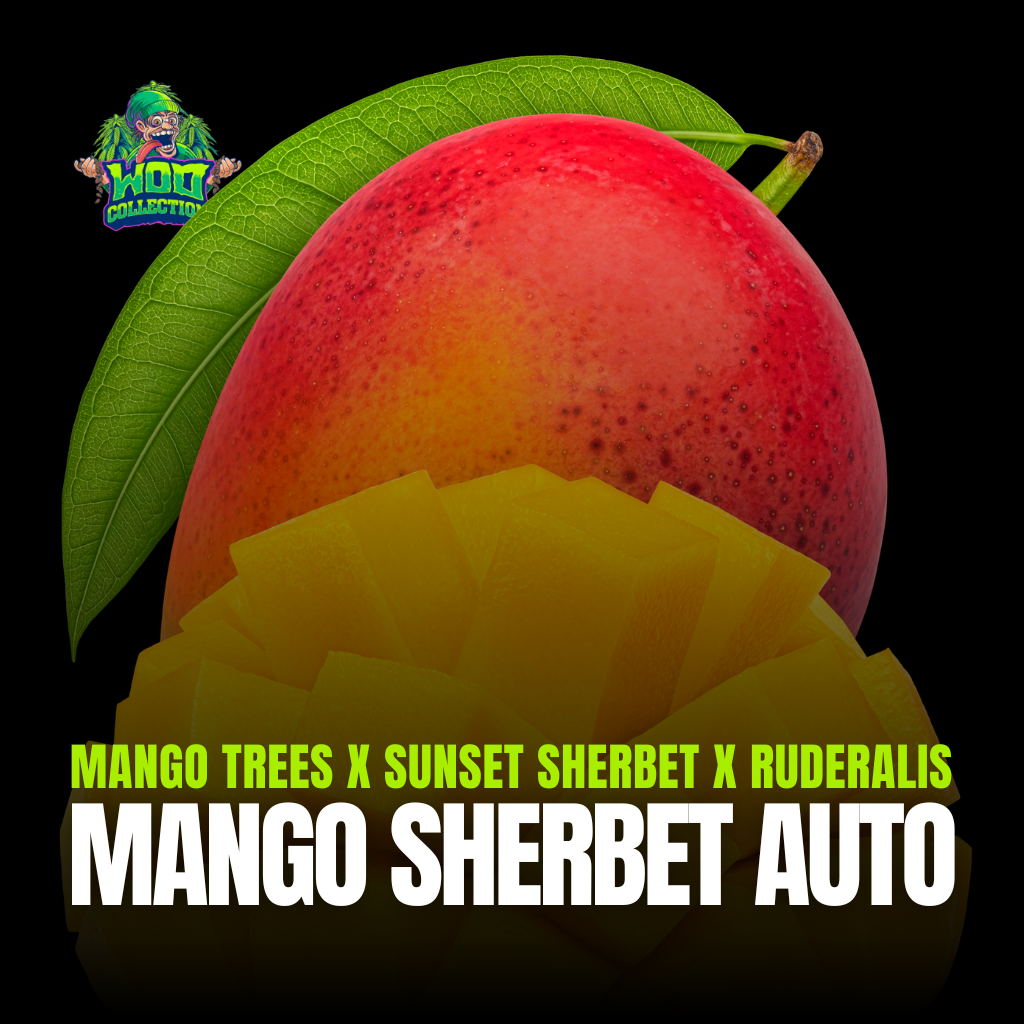 Mango Sherbet Auto