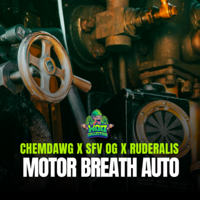 Motor Breath Auto