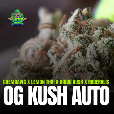 OG Kush Auto