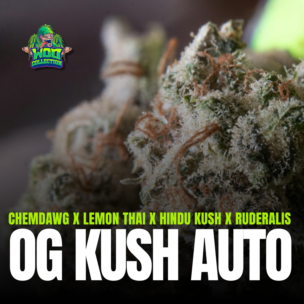 OG Kush Auto