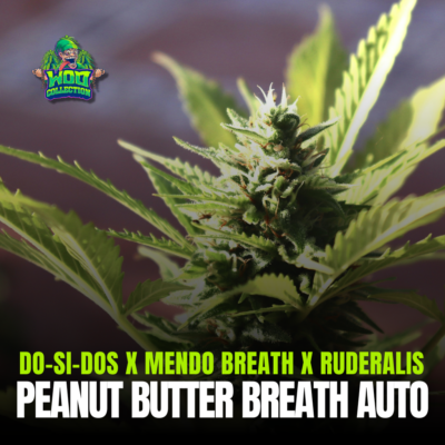 Peanut Butter Breath Auto