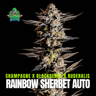 Rainbow Sherbet Auto