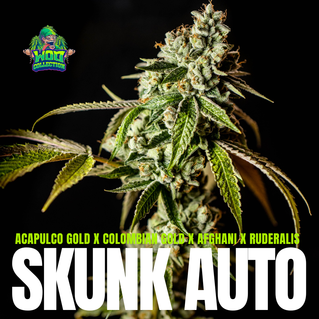 Skunk Auto