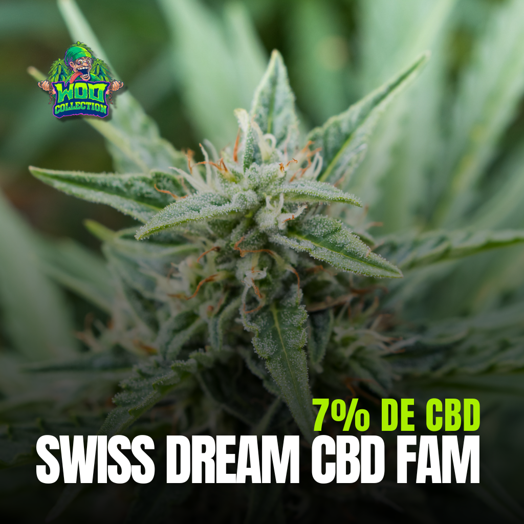 Swiss Dream CBD