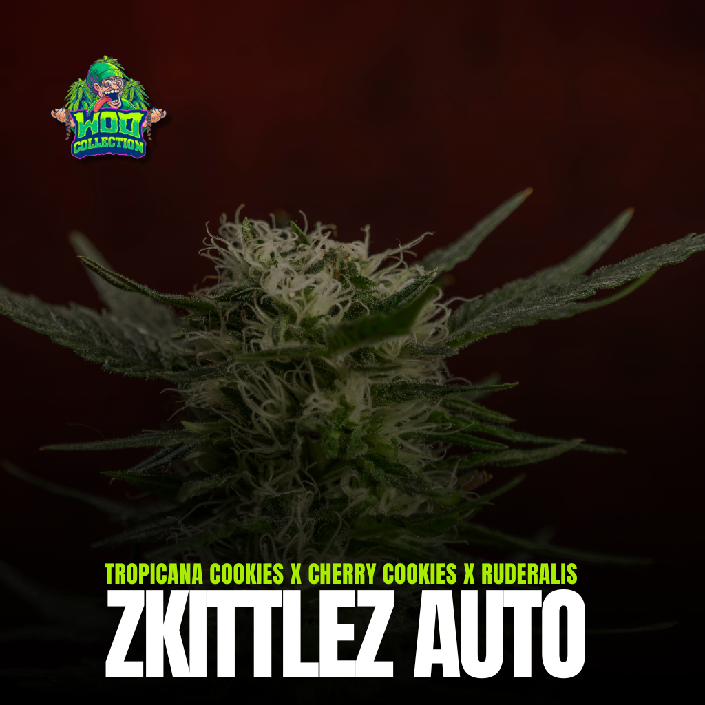 Zkittlez Auto